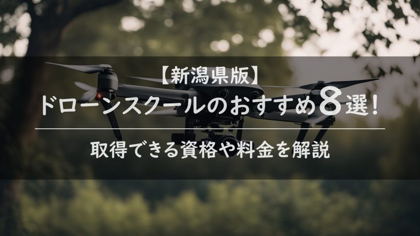 【新潟県版】ドローンスクールのおすすめ8選！取得できる資格や料金を解説の画像