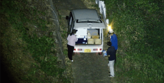 可視カメラ+強光スポットライト撮影の画像